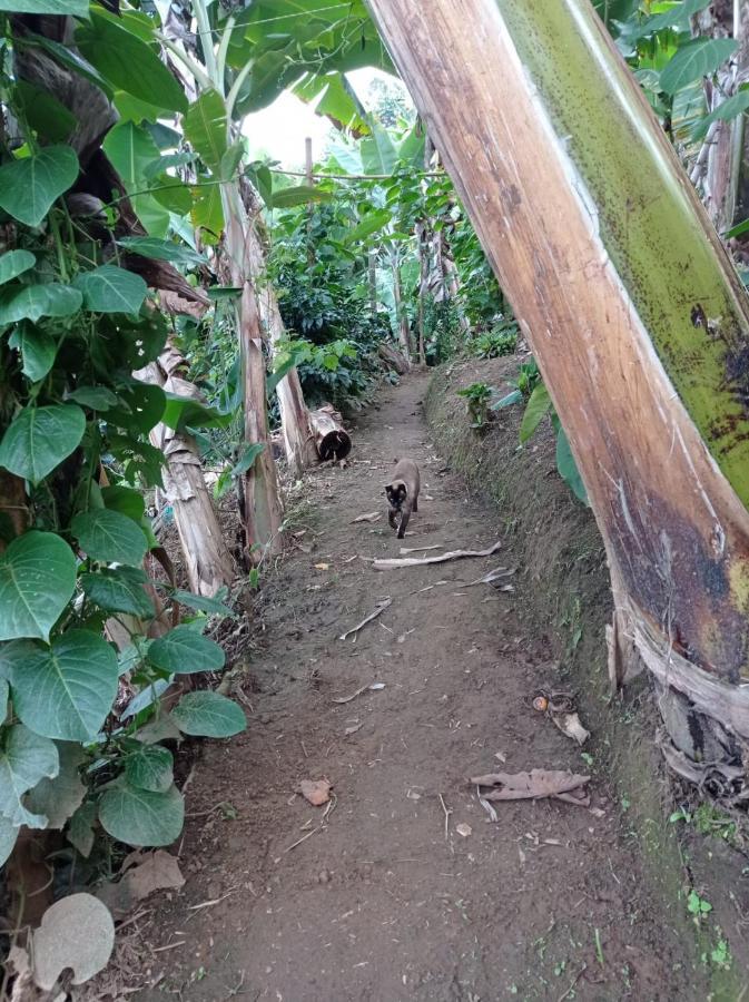 Alojamiento Rural Jardin Consentido Екстер'єр фото