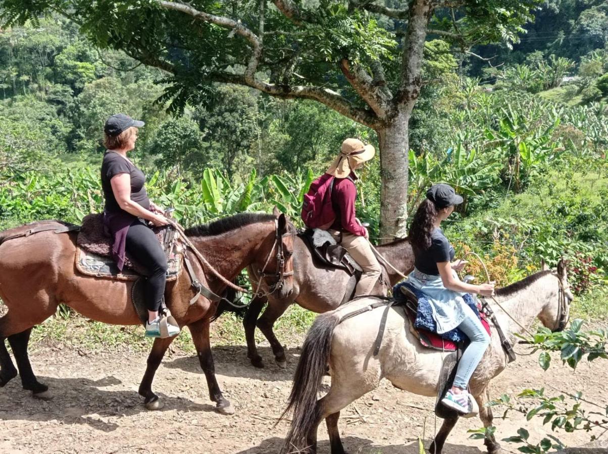 Alojamiento Rural Jardin Consentido Екстер'єр фото
