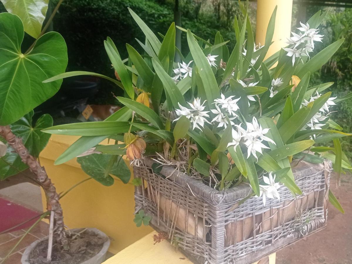 Alojamiento Rural Jardin Consentido Екстер'єр фото