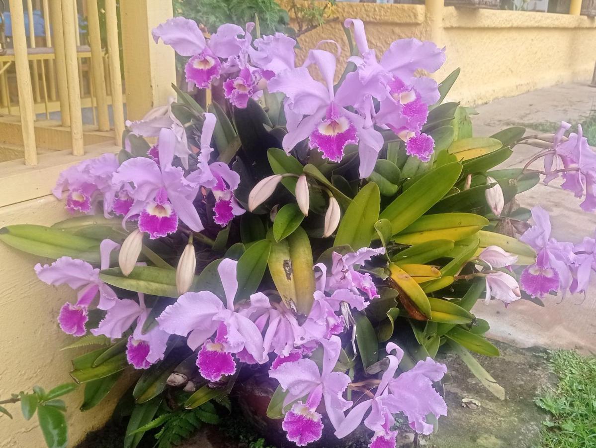 Alojamiento Rural Jardin Consentido Екстер'єр фото