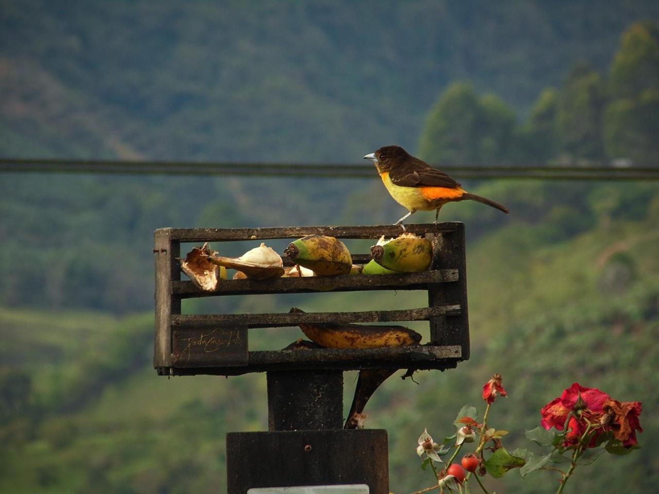 Alojamiento Rural Jardin Consentido Екстер'єр фото