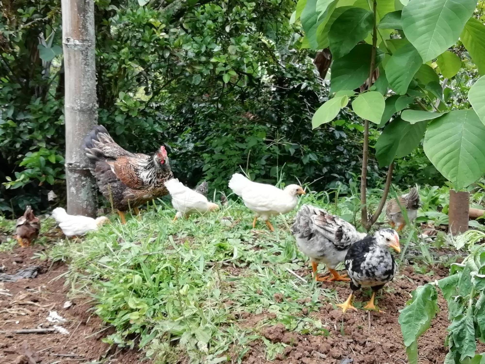 Alojamiento Rural Jardin Consentido Екстер'єр фото