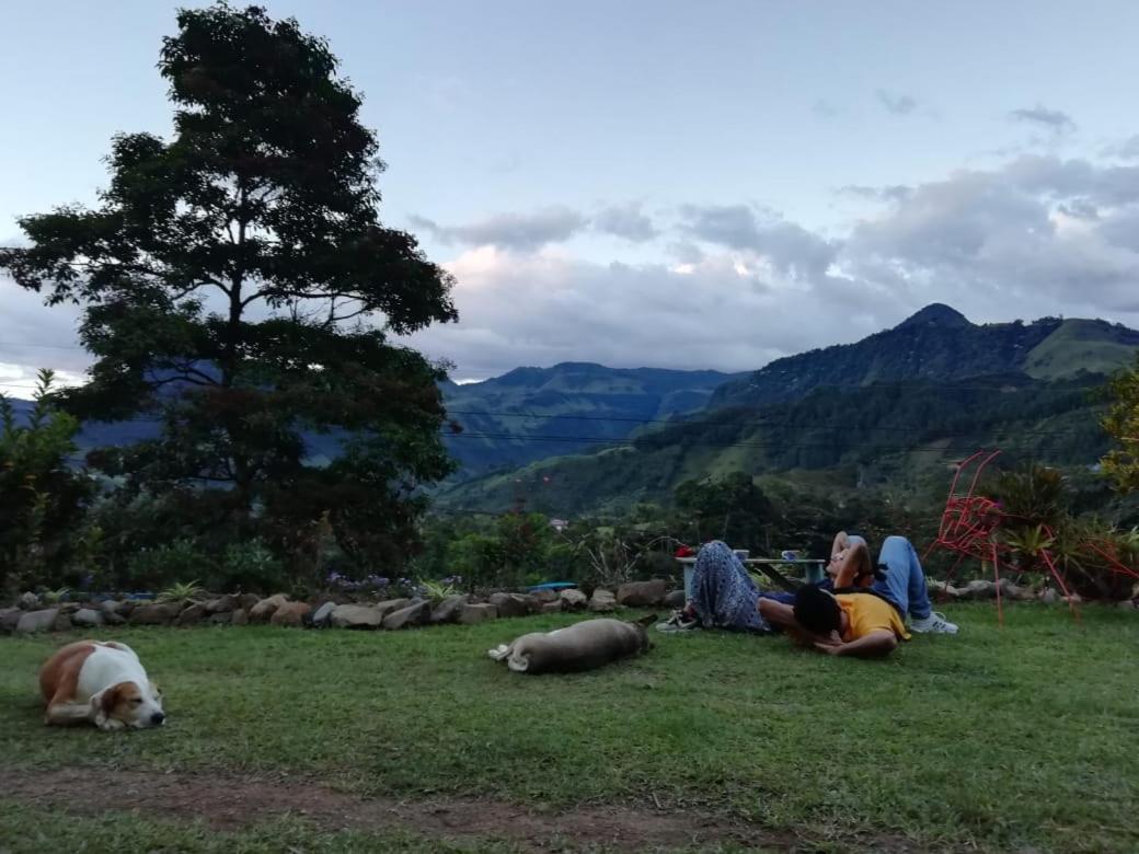 Alojamiento Rural Jardin Consentido Екстер'єр фото